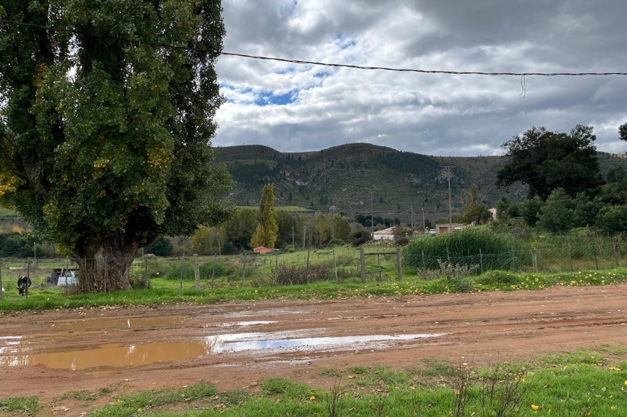 0 Bedroom Property for Sale in Haarlem Western Cape